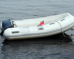 Electric Davits vs. Manual Davits_ Pros, Cons, and Key Differences